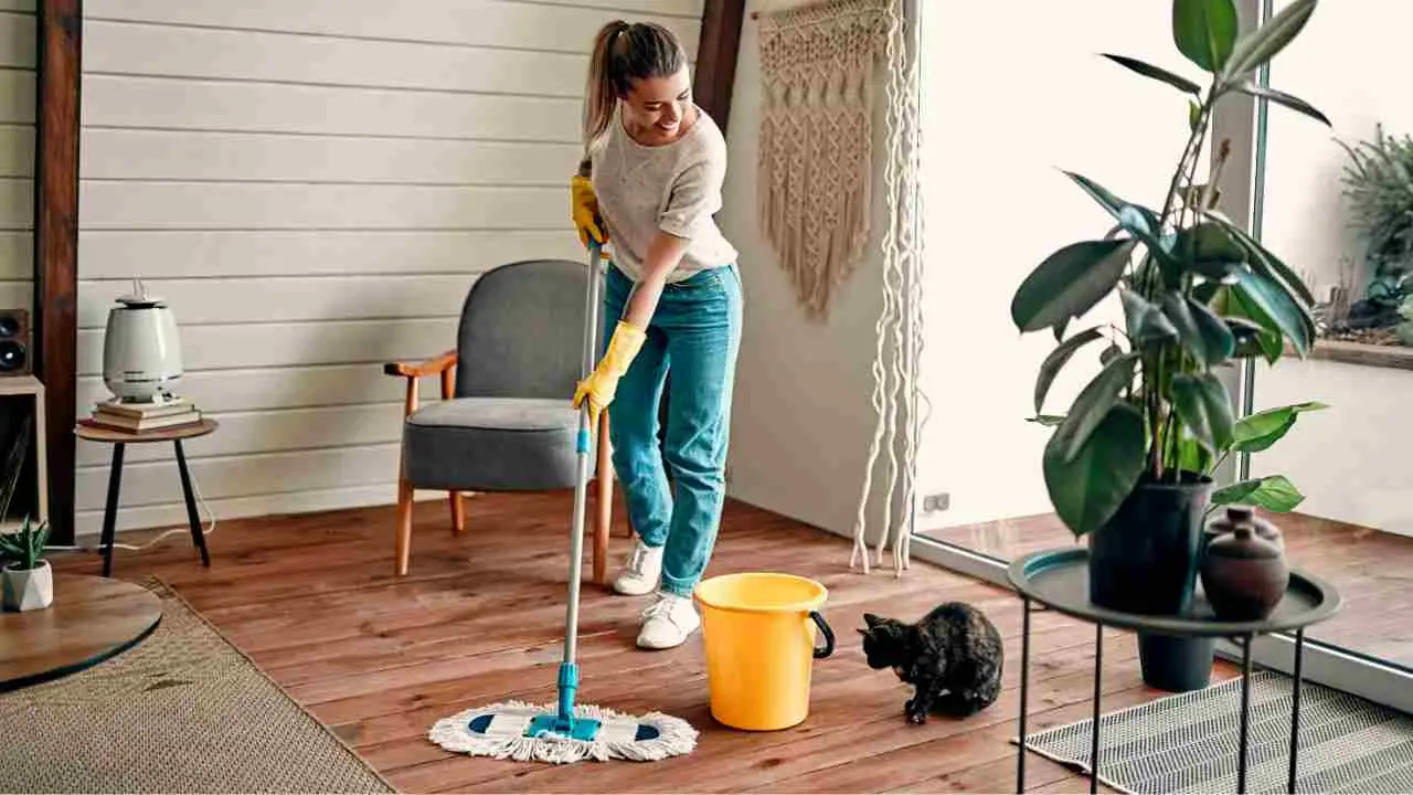 Lavori nelle pulizie? Ecco quante ore devi lavorare davvero secondo il contratto